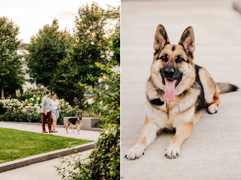 Summer engagement photos at Smale park with dog