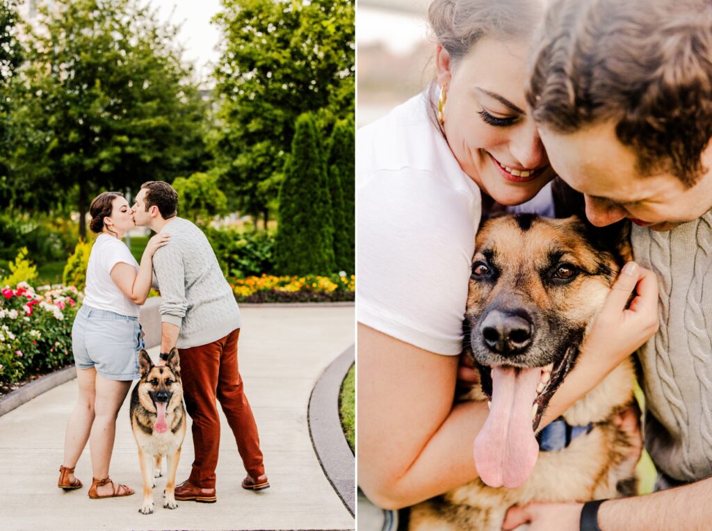 Engaged couple with their German shepherd at the rose garden at smale park